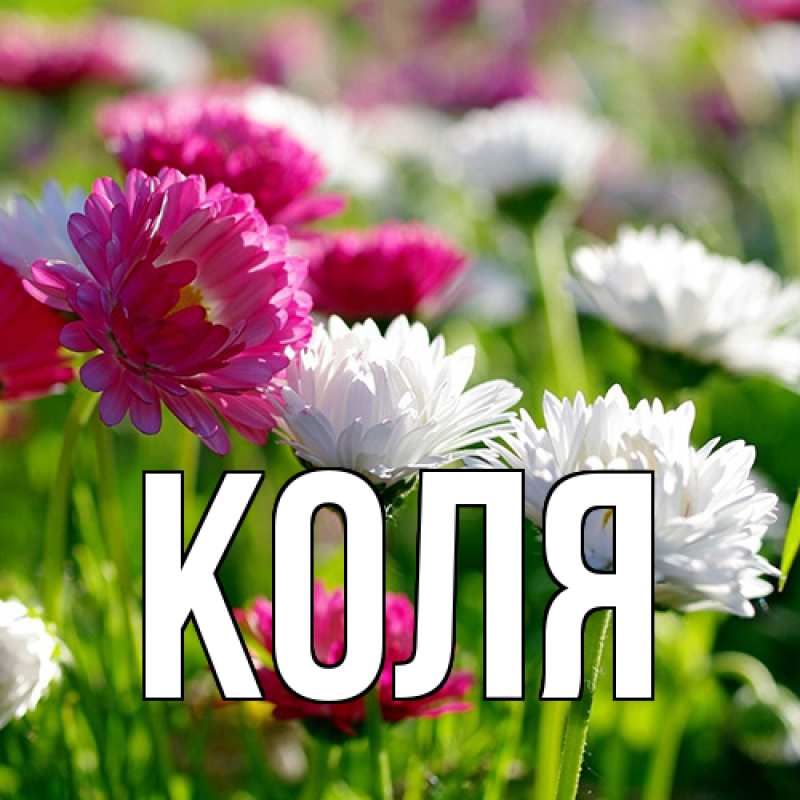 Картинка  с именем , коля