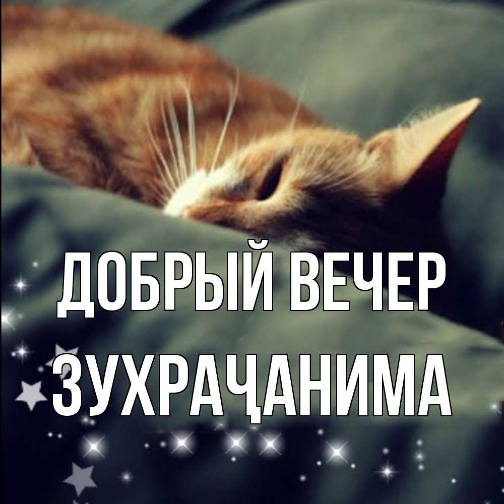 Открытка  с именем. Зухраҷанима, Добрый вечер  