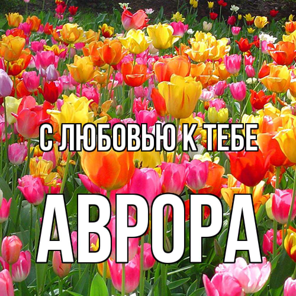 Открытка  с именем. Аврора, С любовью к тебе  