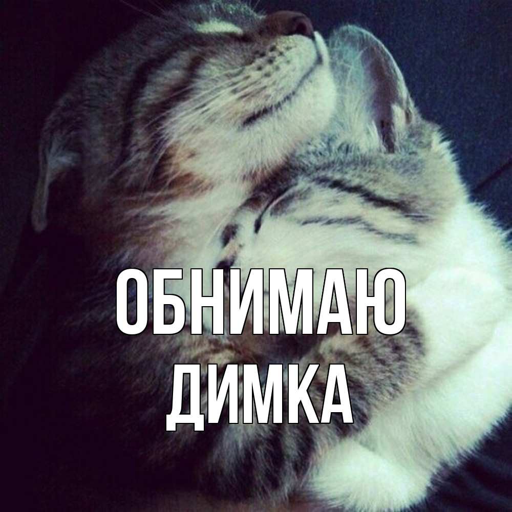 Открытка  с именем. ДИМКА, Обнимаю  