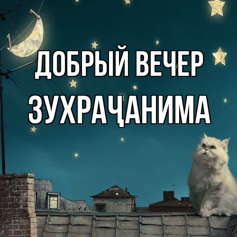 Открытка  с именем. Зухраҷанима, Добрый вечер  