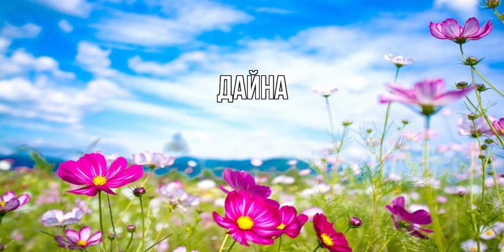Открытка  с именем. Дайна, Главная  