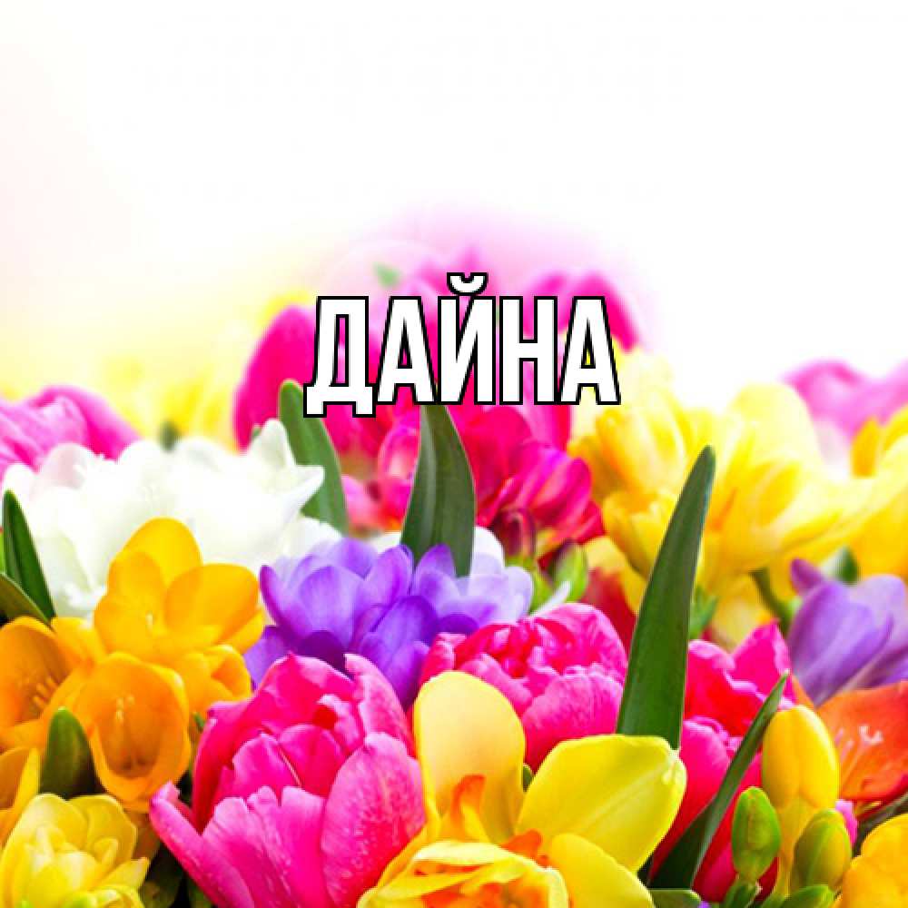 Открытка  с именем. Дайна, Главная  