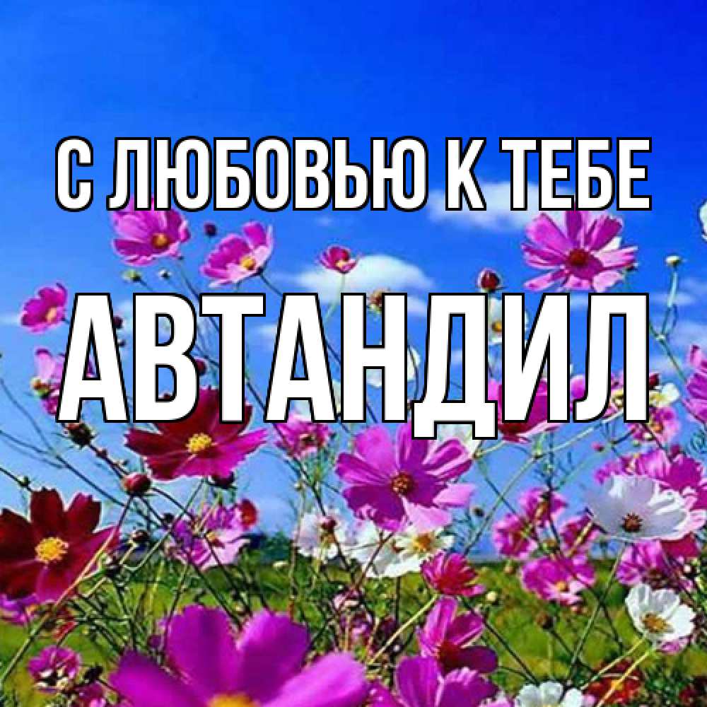 Открытка  с именем. Автандил, С любовью к тебе  