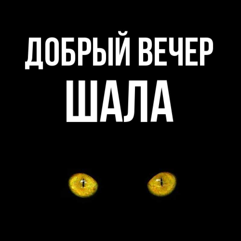 Картинка Добрый вечер, Шала