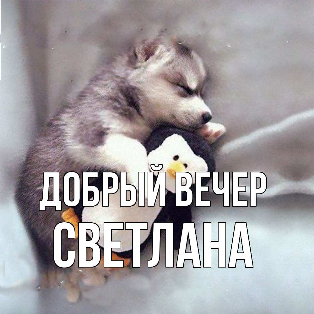 Открытка  с именем. Светлана, Добрый вечер  