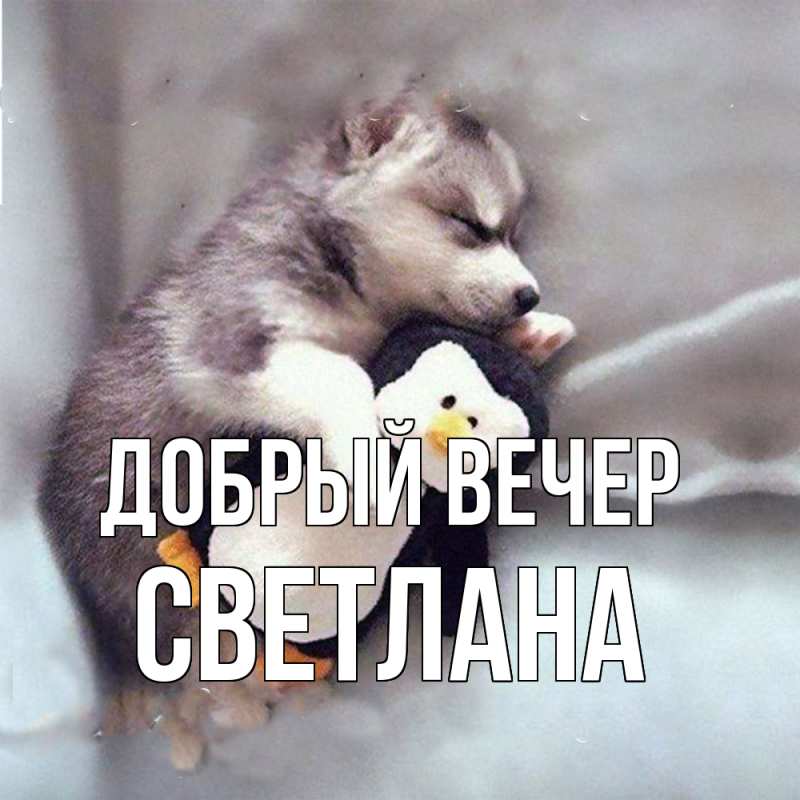 Картинка Добрый вечер, Светлана