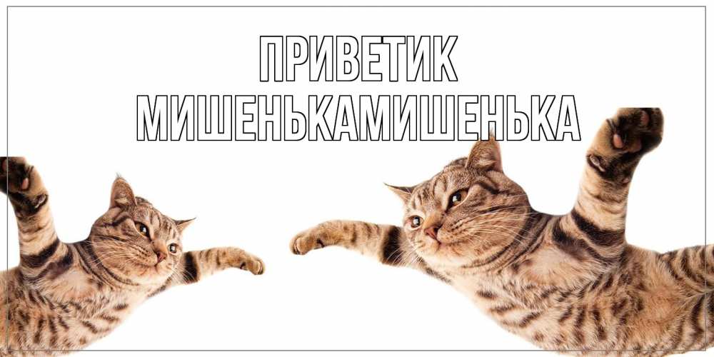 Открытка  с именем. МишенькаМишенька, приветик  
