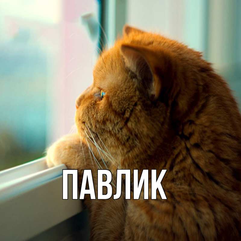 Картинка  с именем , Павлик