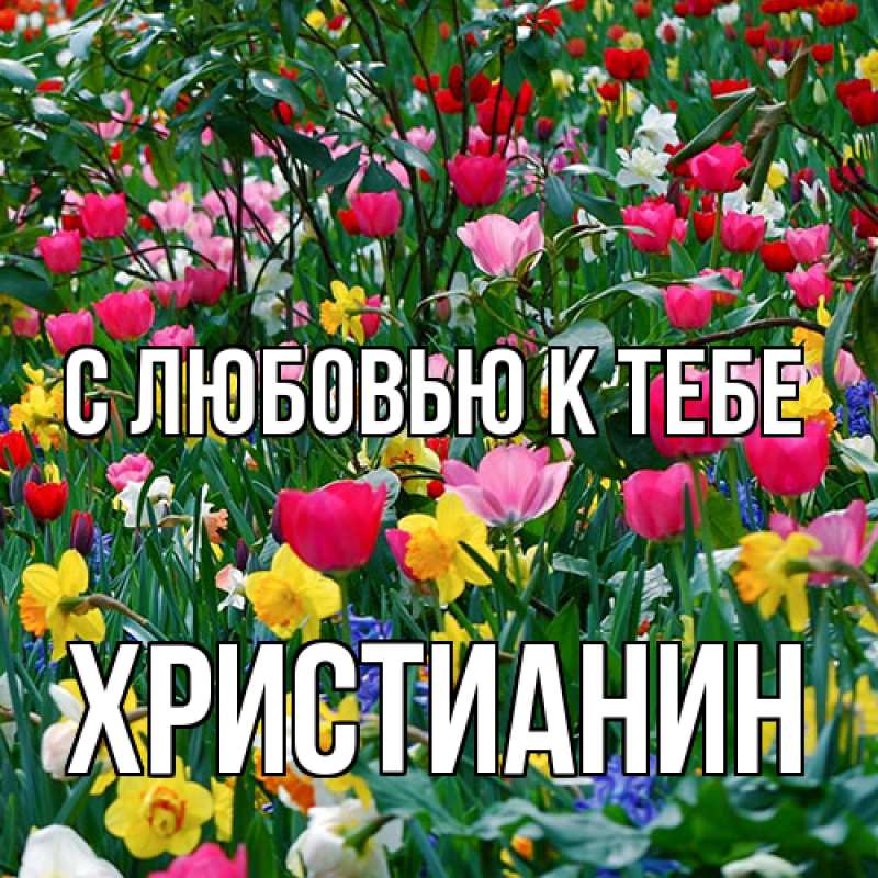 Картинка С любовью к тебе, Христианин