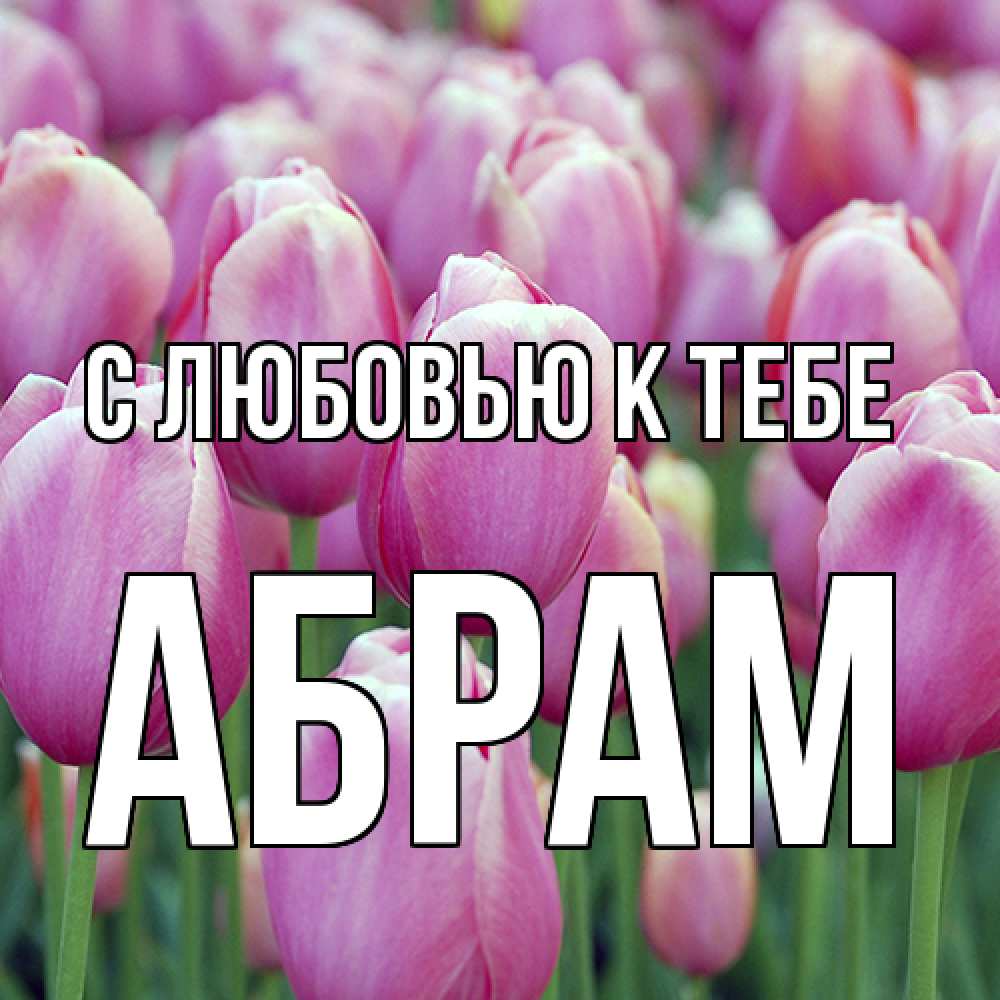Открытка  с именем. Абрам, С любовью к тебе  