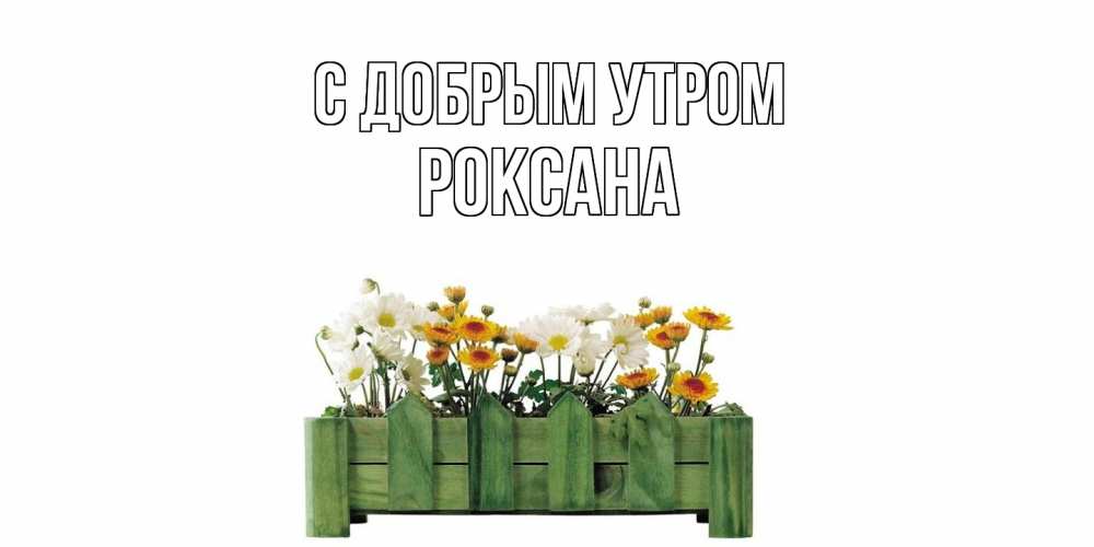 Открытка  с именем. Роксана, С добрым утром  
