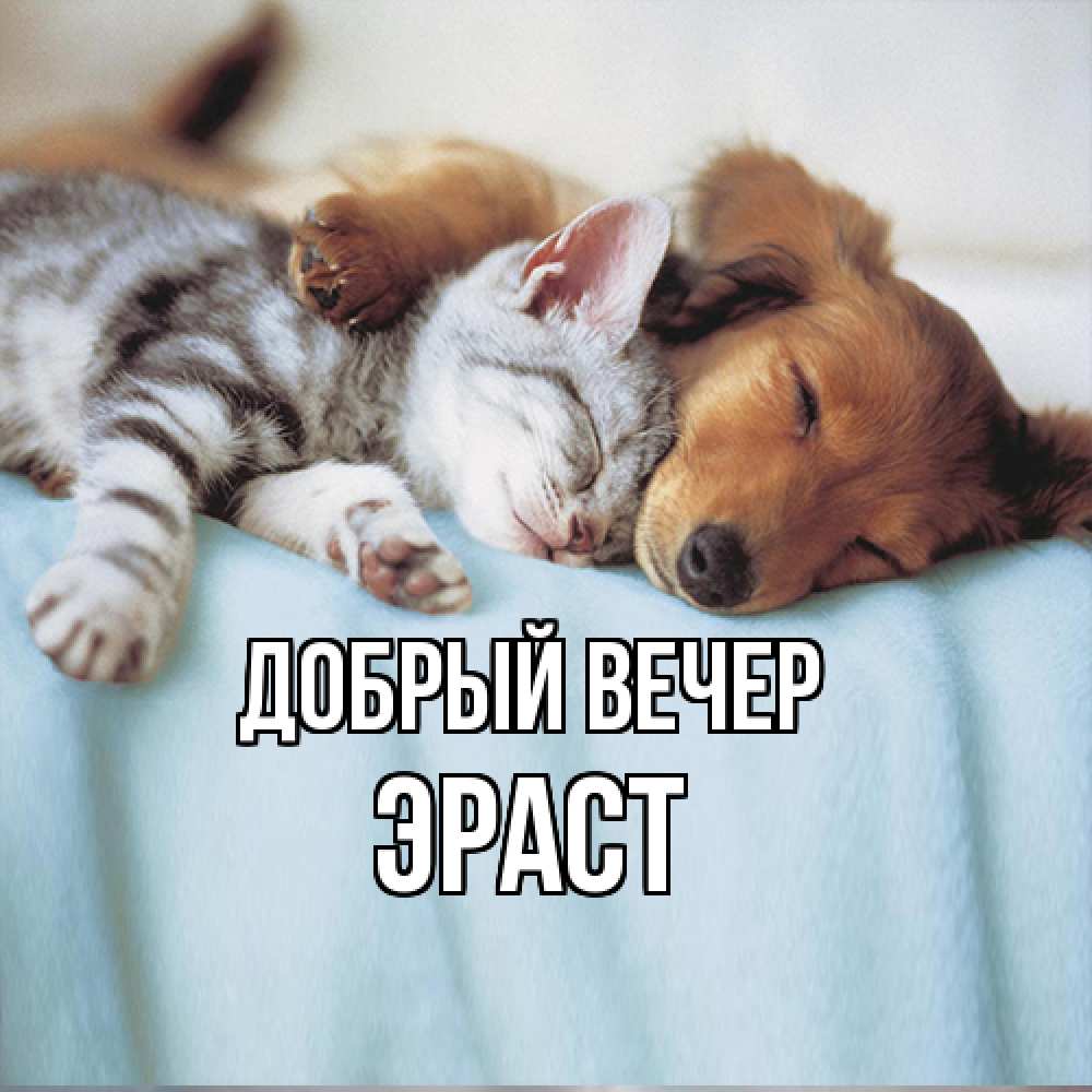 Открытка  с именем. Эраст, Добрый вечер  