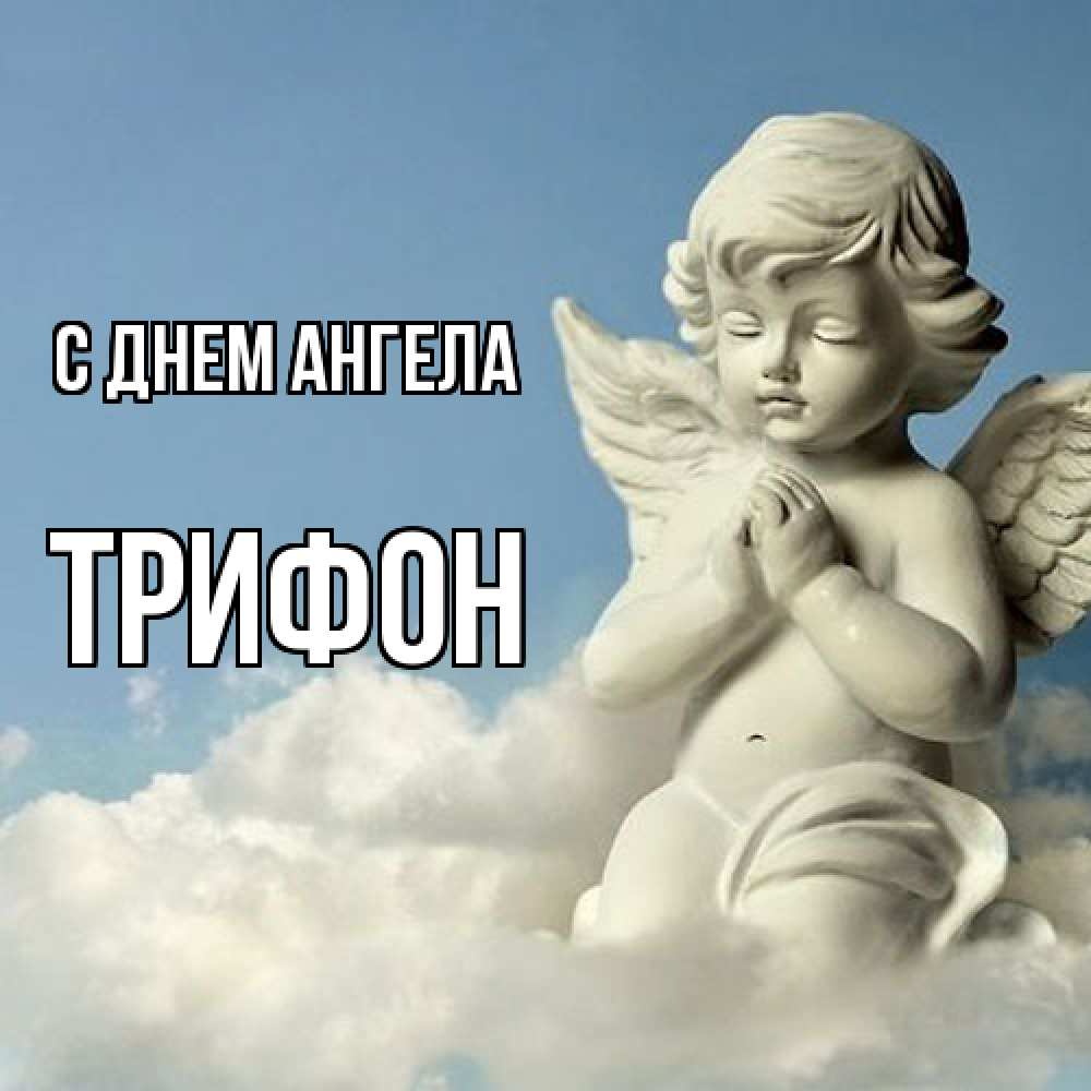 Открытка  с именем. Трифон, С днем ангела  