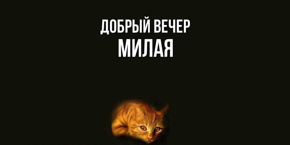 Открытка  с именем. Милая, Добрый вечер  