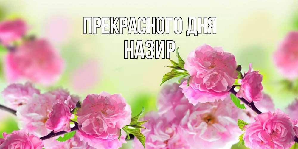 Открытка  с именем. Назир, Прекрасного дня  