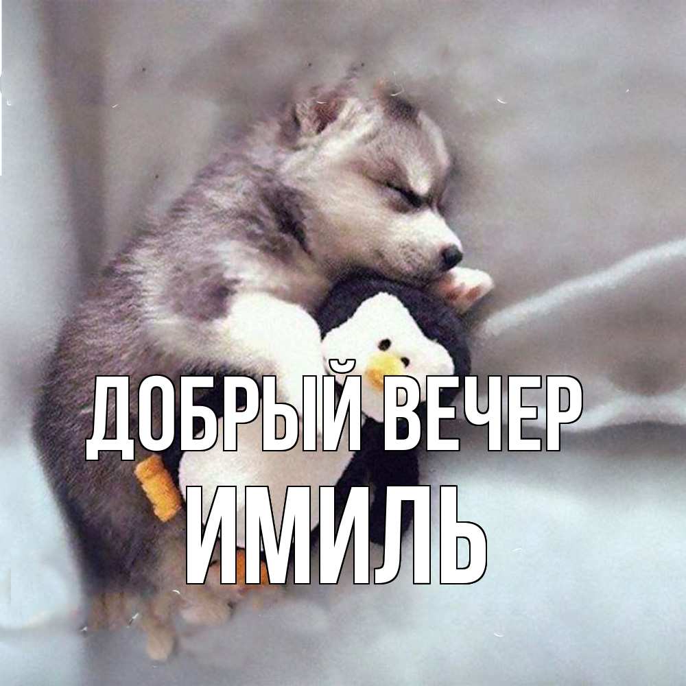Открытка  с именем. Имиль, Добрый вечер  