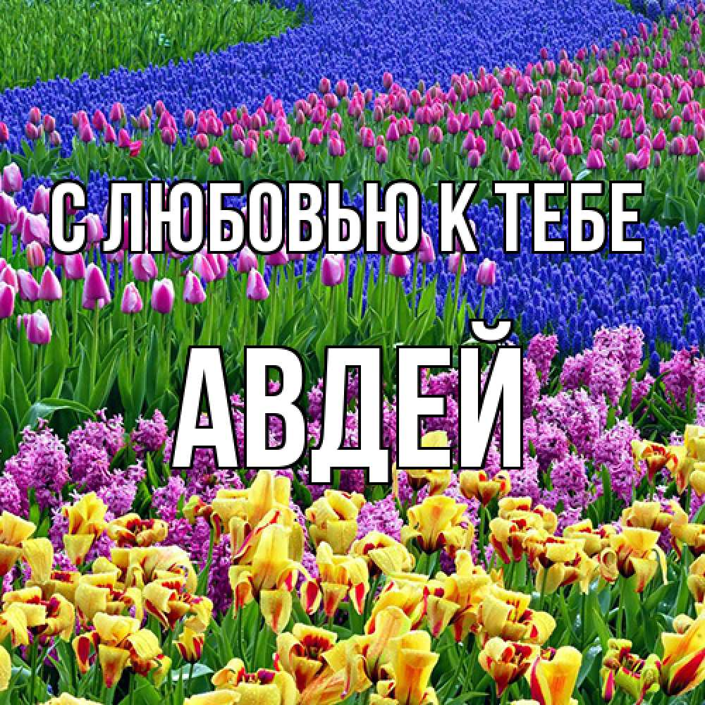 Открытка  с именем. Авдей, С любовью к тебе  