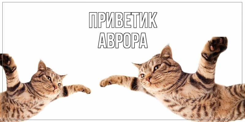 Открытка с именем, Аврора, приветик