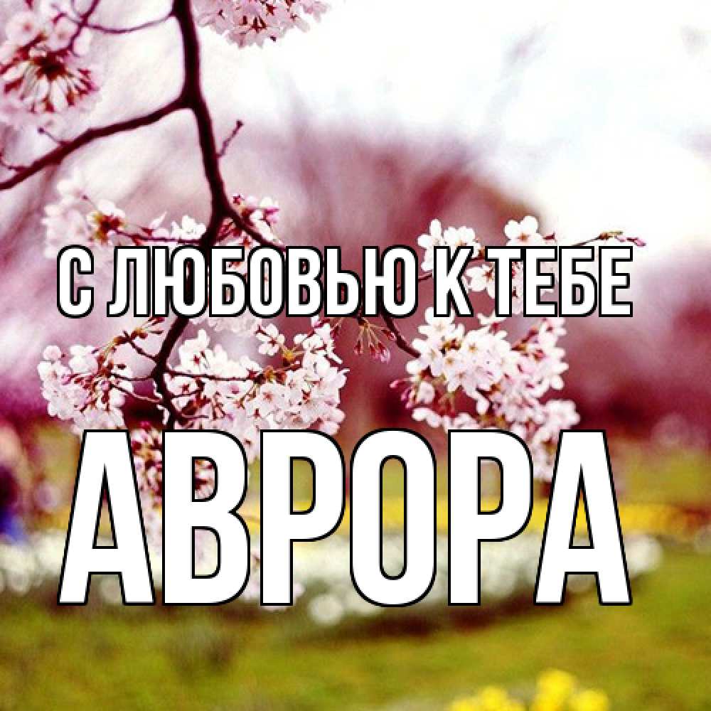 Открытка  с именем. Аврора, С любовью к тебе  
