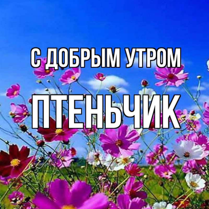 Картинка С добрым утром, Птеньчик