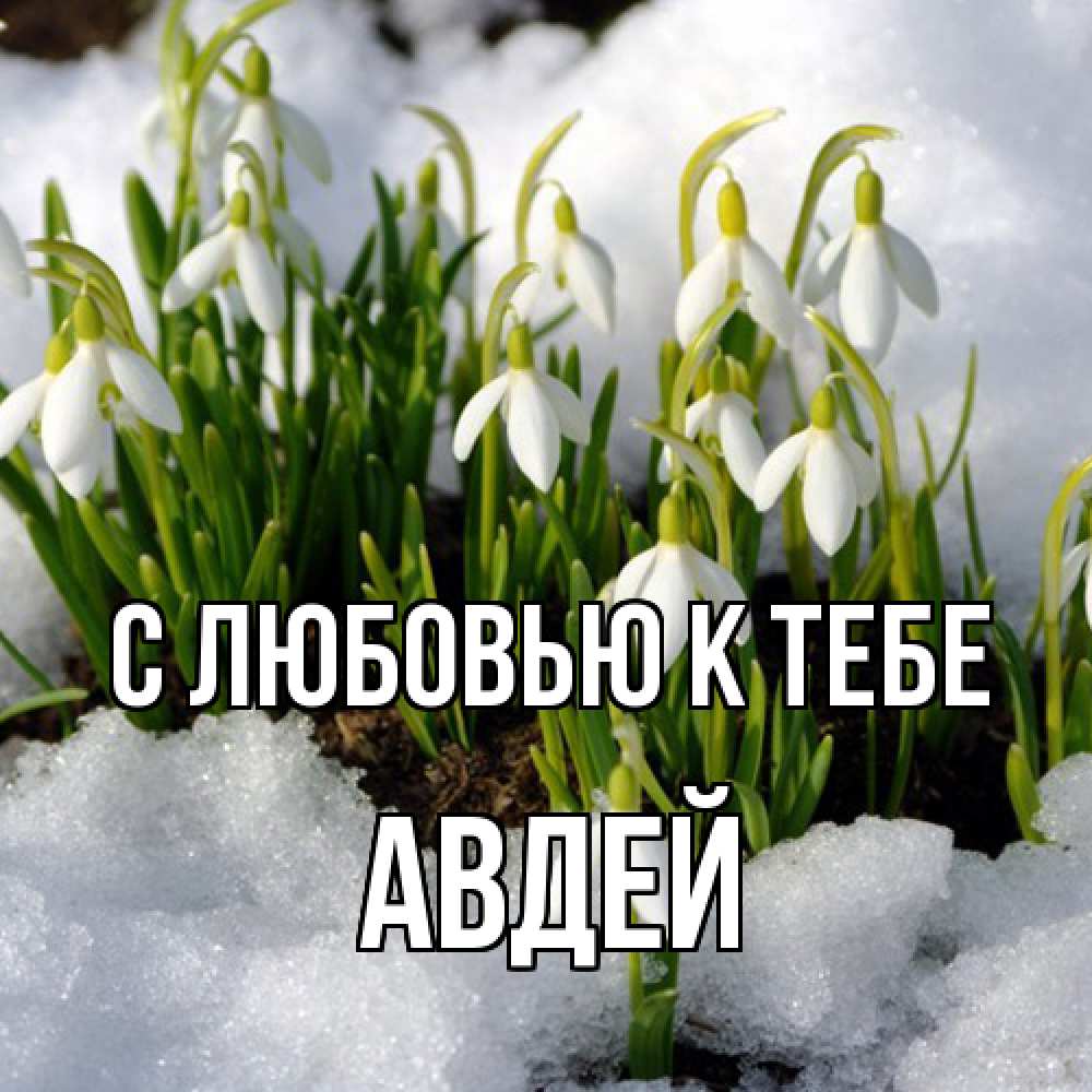 Открытка  с именем. Авдей, С любовью к тебе  