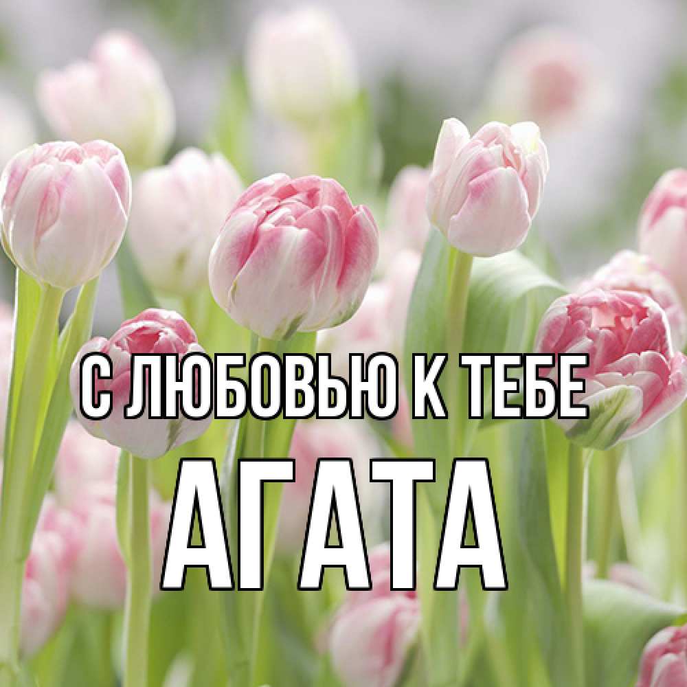 Открытка  с именем. Агата, С любовью к тебе  