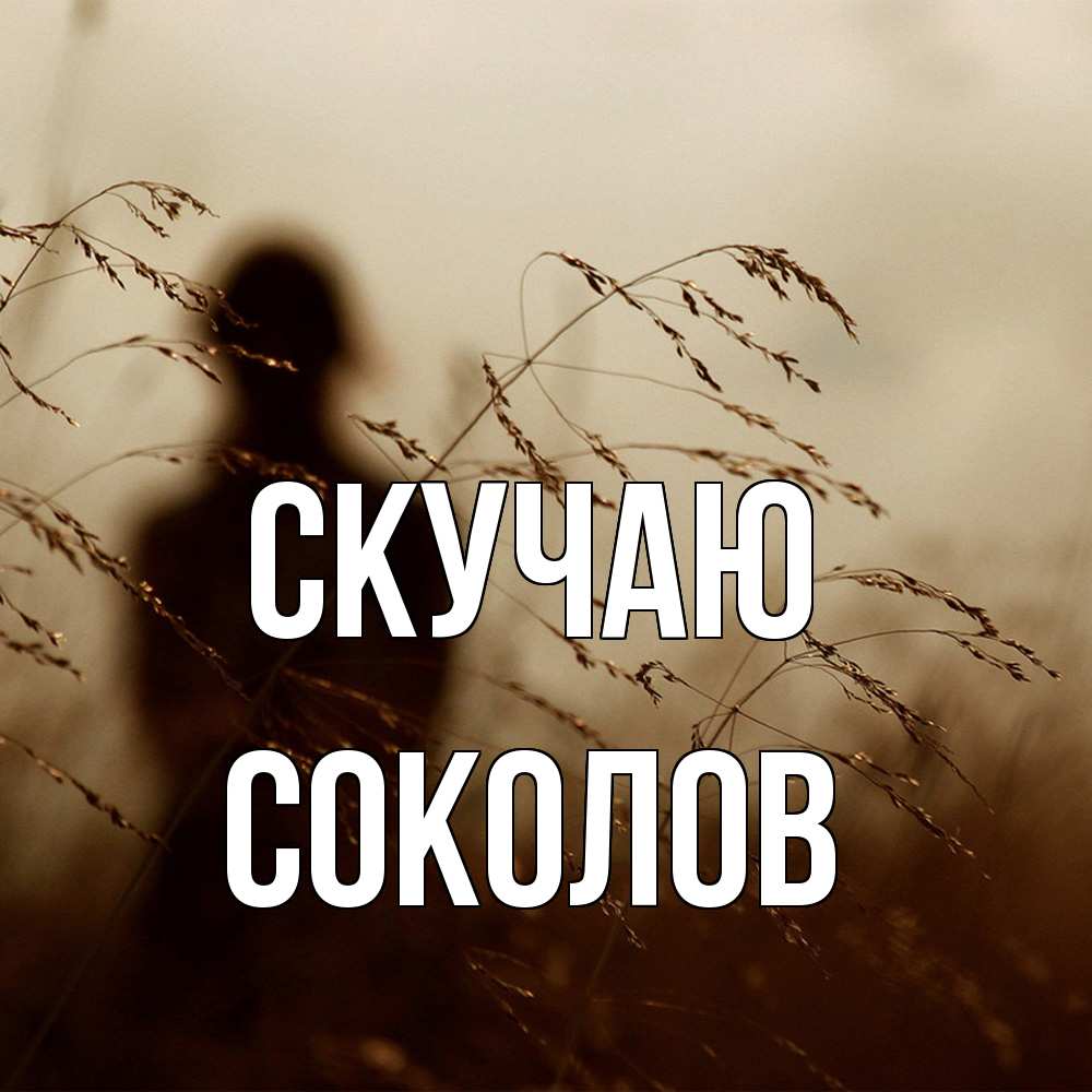 Открытка  с именем. Соколов, Скучаю  