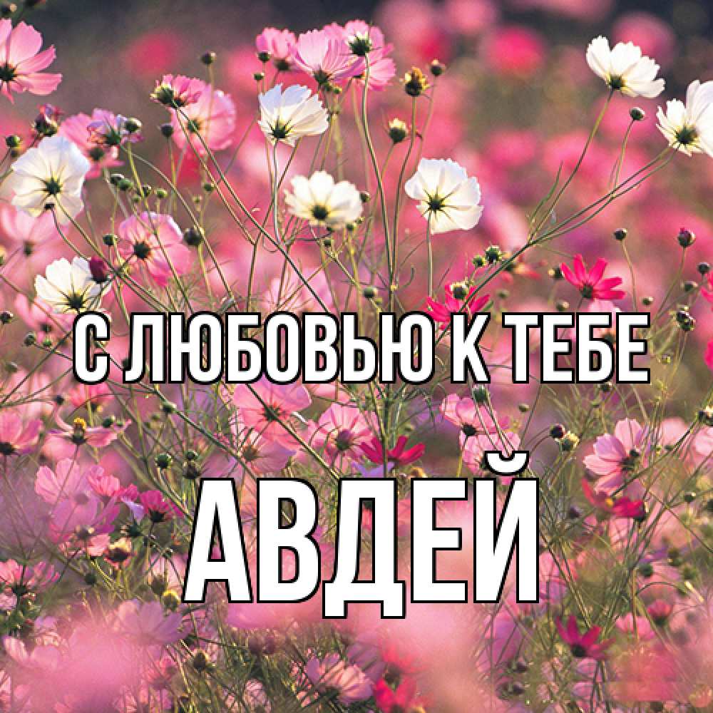 Открытка  с именем. Авдей, С любовью к тебе  