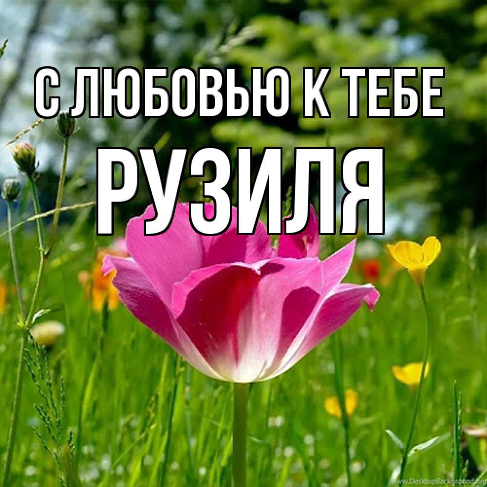 Открытка  с именем. Рузиля, С любовью к тебе  