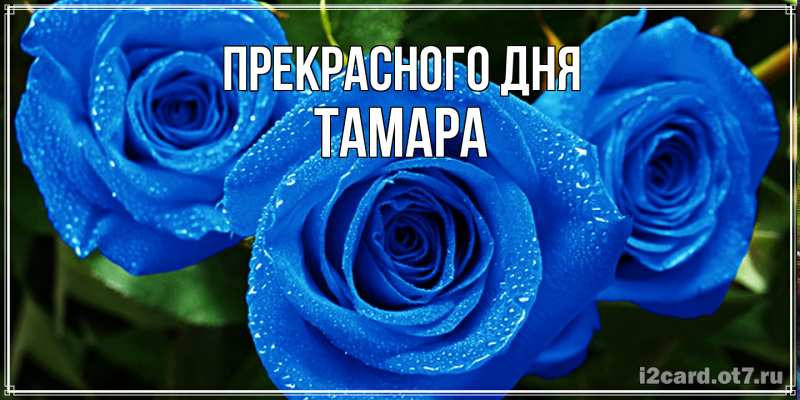 Открытка с именем, Тамара, Прекрасного дня