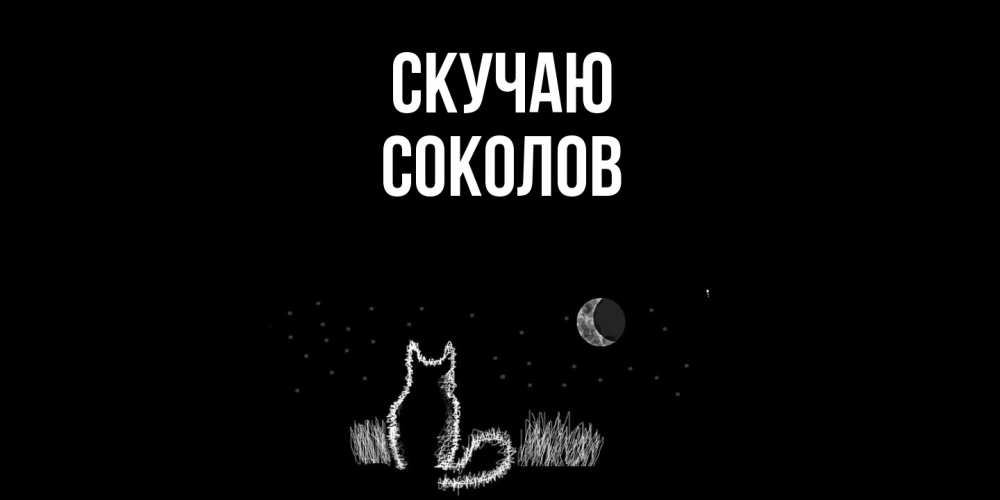 Открытка  с именем. Соколов, Скучаю  