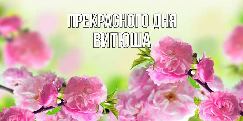 Картинка Прекрасного дня, Витюша