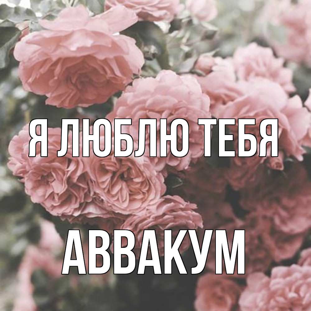Открытка  с именем. Аввакум, Я люблю тебя  
