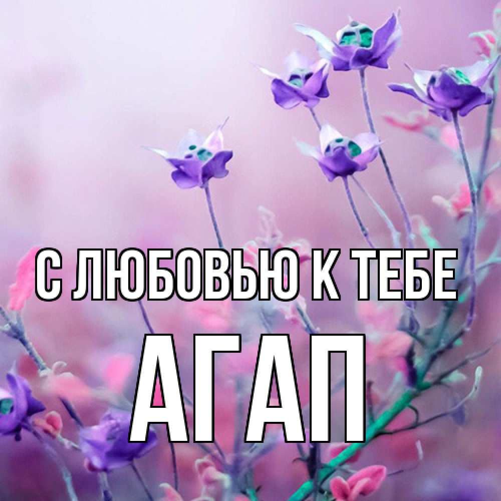Открытка  с именем. Агап, С любовью к тебе  
