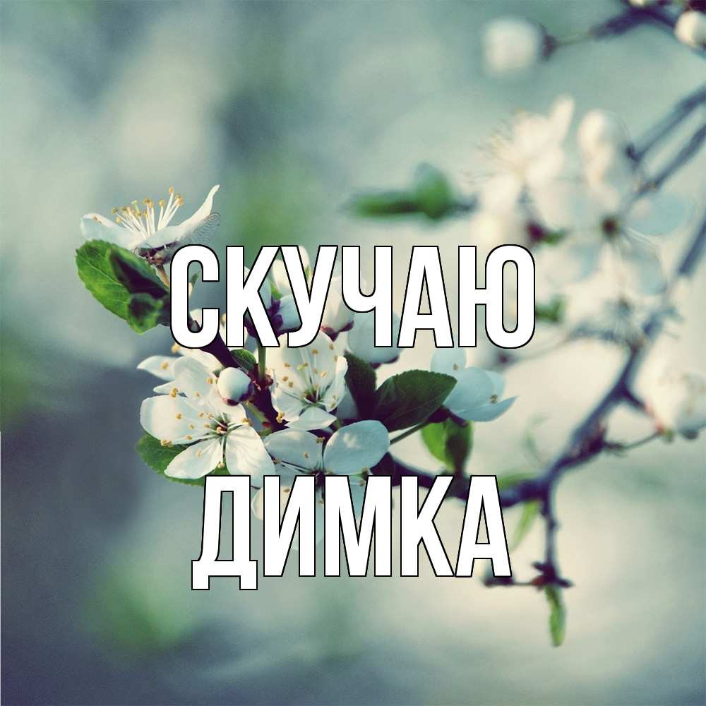 Открытка  с именем. ДИМКА, Скучаю  