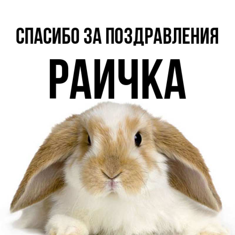 Картинка Спасибо за поздравления, Раичка