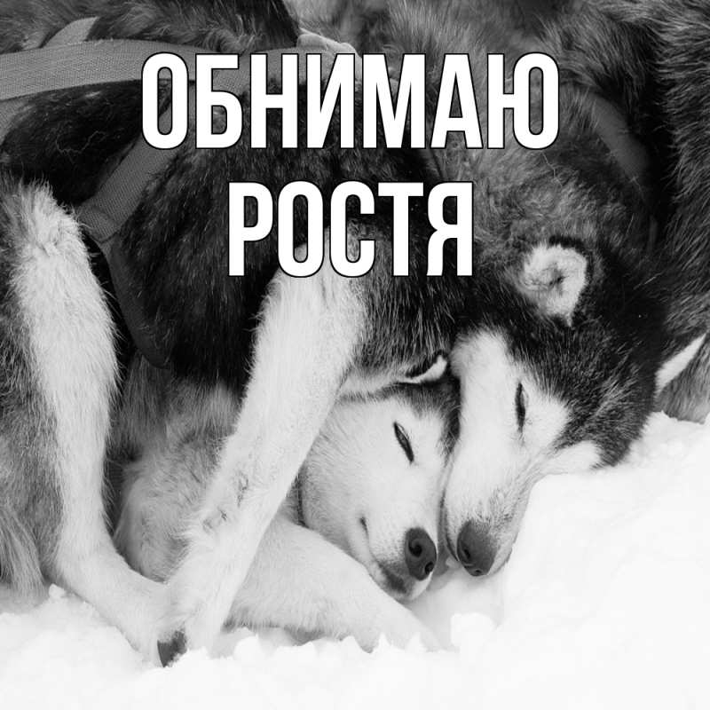 Картинка Обнимаю, Ростя