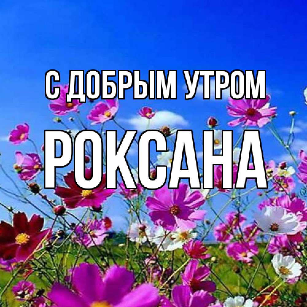 Открытка  с именем. Роксана, С добрым утром  