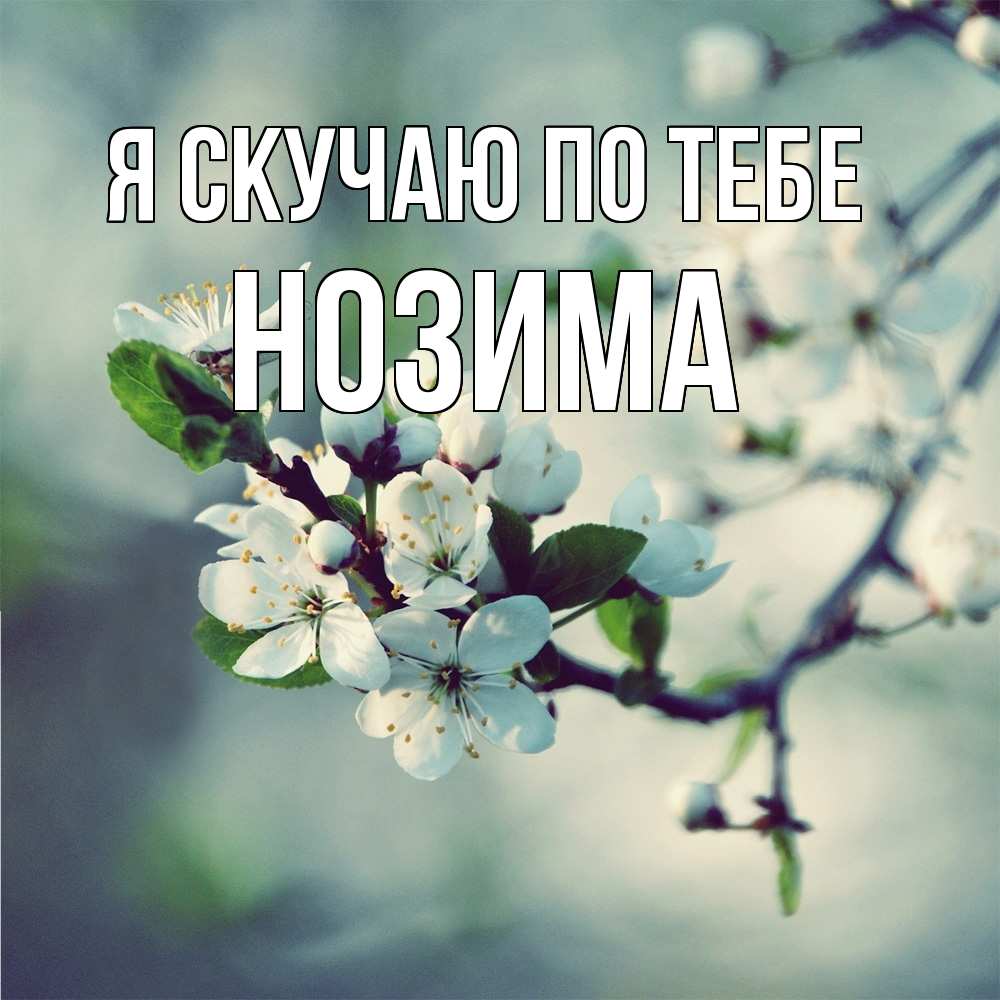 Открытка  с именем. НОЗИМА, Я скучаю по тебе  