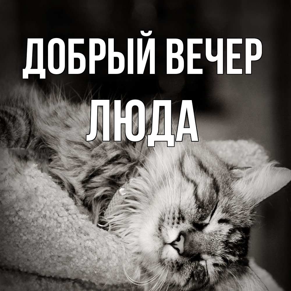Открытка  с именем. ЛЮДА, Добрый вечер  