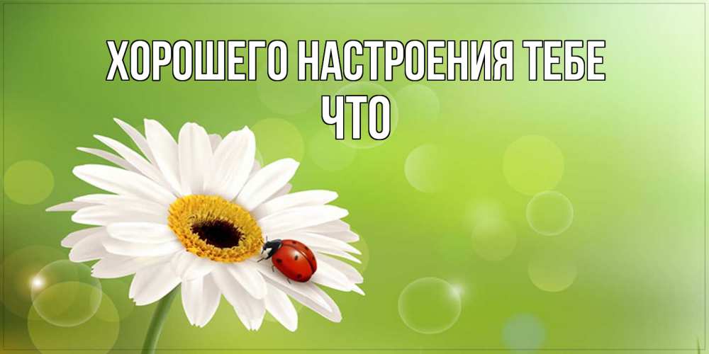 Открытка  с именем. Что, Хорошего настроения тебе  