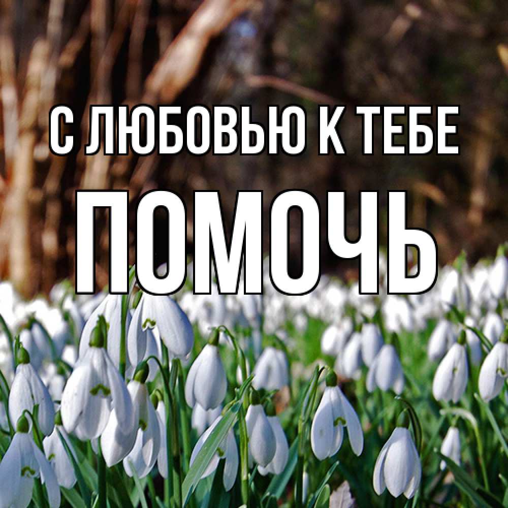 Открытка  с именем. Помочь, С любовью к тебе  