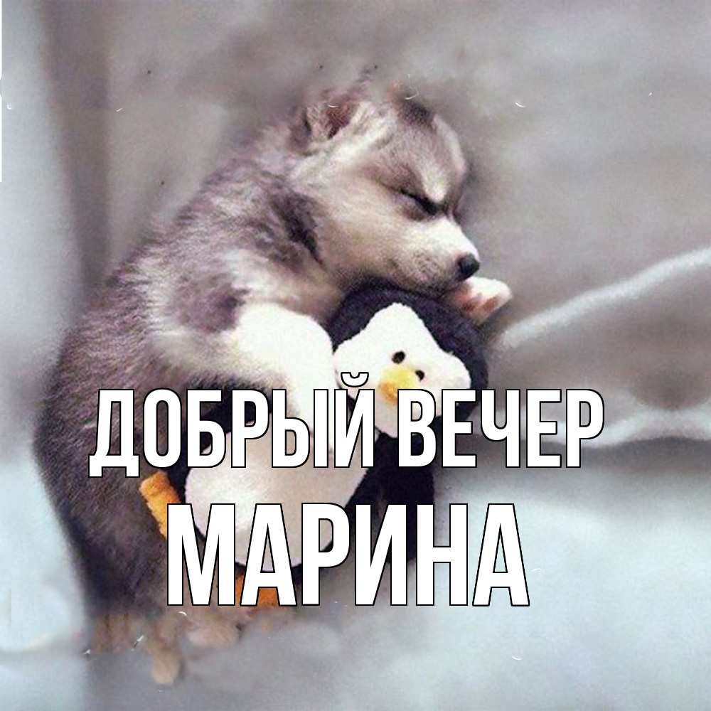 Открытка  с именем. Марина, Добрый вечер  