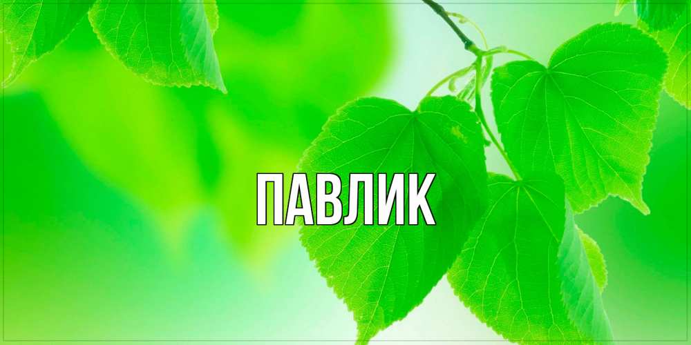 Открытка  с именем. Павлик, Главная  