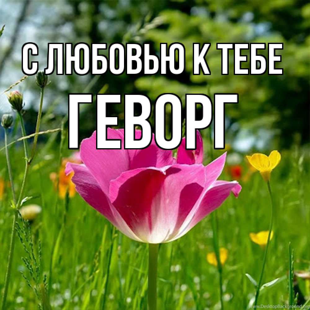 Открытка  с именем. Геворг, С любовью к тебе  