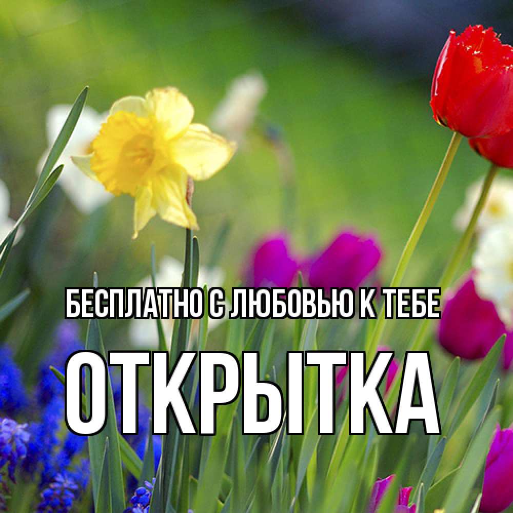 Открытка  с именем. открытка, С любовью к тебе  