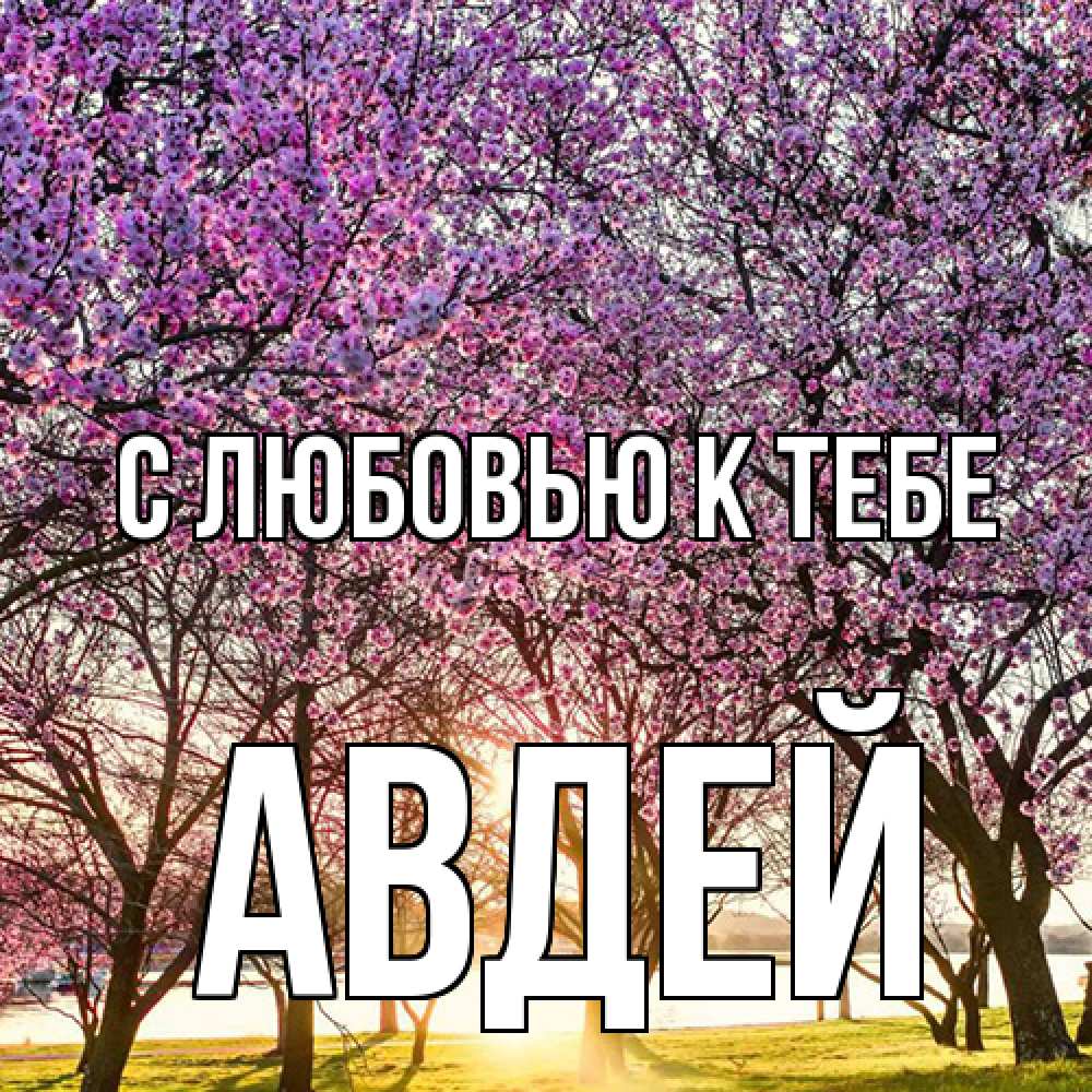 Открытка  с именем. Авдей, С любовью к тебе  