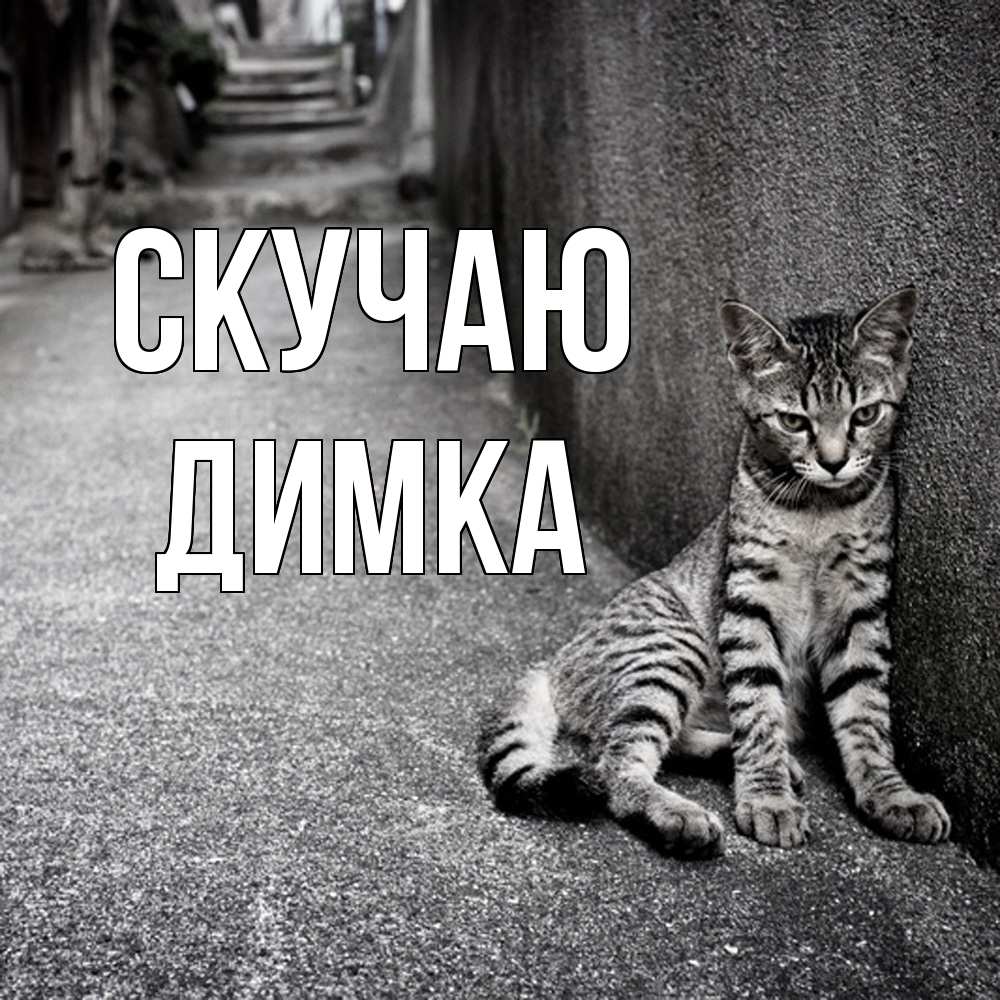 Открытка  с именем. ДИМКА, Скучаю  