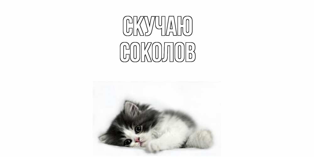 Открытка  с именем. Соколов, Скучаю  